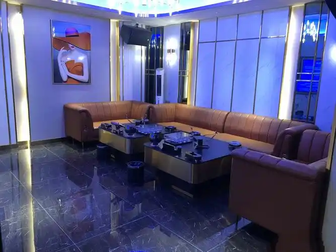 天津商务ktv中低端差异-河东区ktv预定